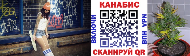 Какие есть наркотики Курчалой Alpha-PVP Псилоцибиновые грибы Канабис Мефедрон