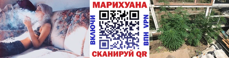 Каннабис ГИДРОПОН  Курчалой 